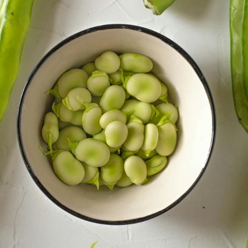 How to Grow Broad Beans