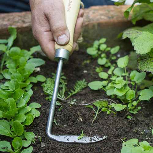 Weeding & Mulching