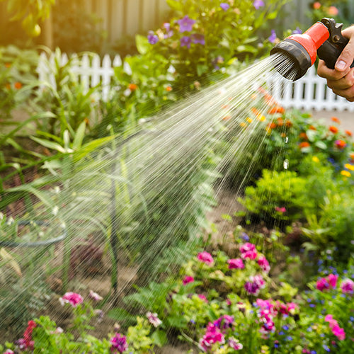 Feeding & Watering