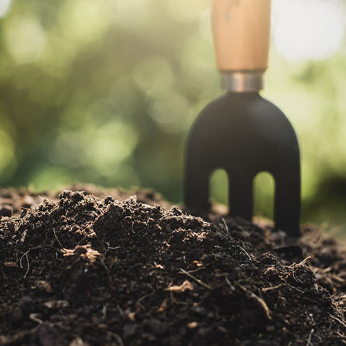 Soil Types: What Works Best for Each Seed and Plant Variety