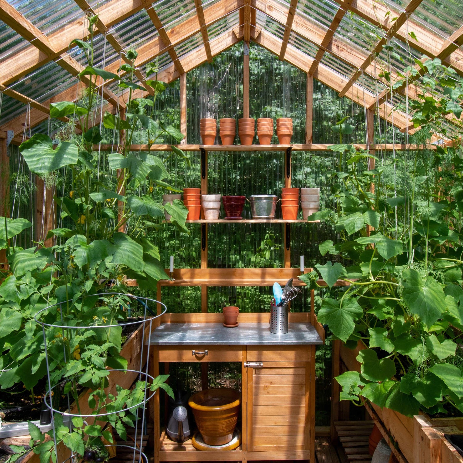 Greenhouses or Cold Frames: Which Is Right for You?