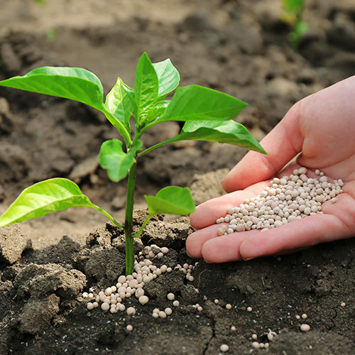 What is Sulphate of Potash? - A D.T. Brown Guide