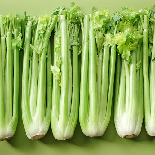 How To Grow Celery From Seed