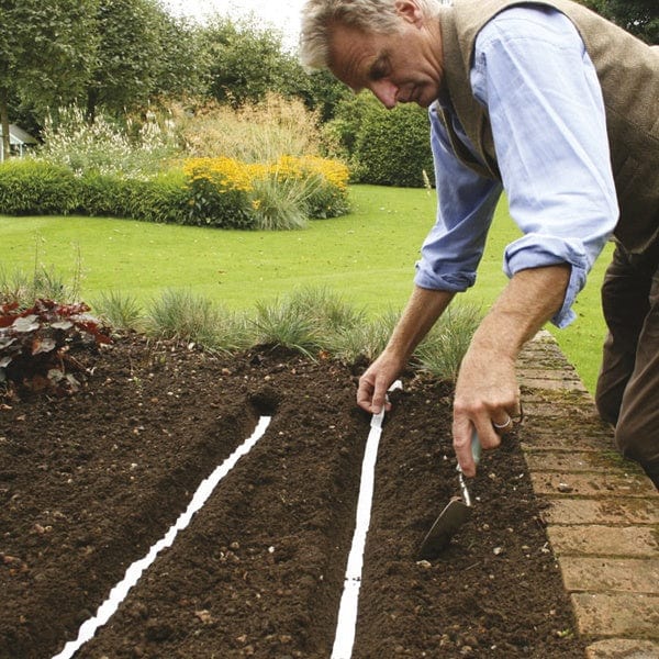 What to Do With Leftover Seeds