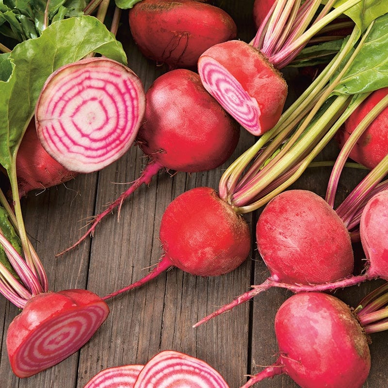 Root Vegetable Seeds