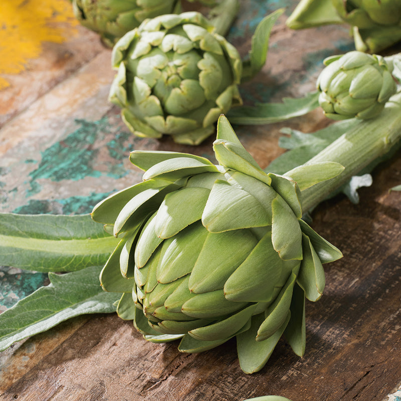 Artichoke Seeds