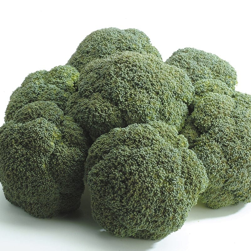 Calabrese Seeds