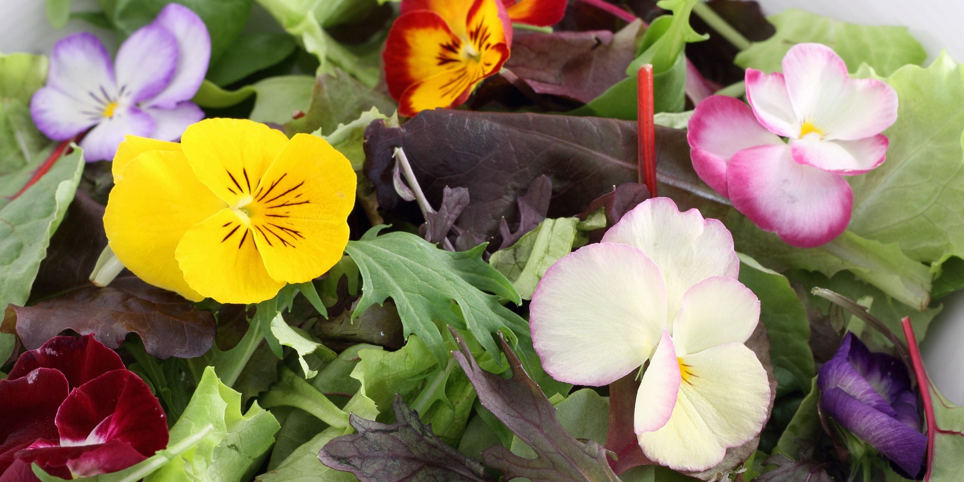 Our Chelsea Inspired Edit