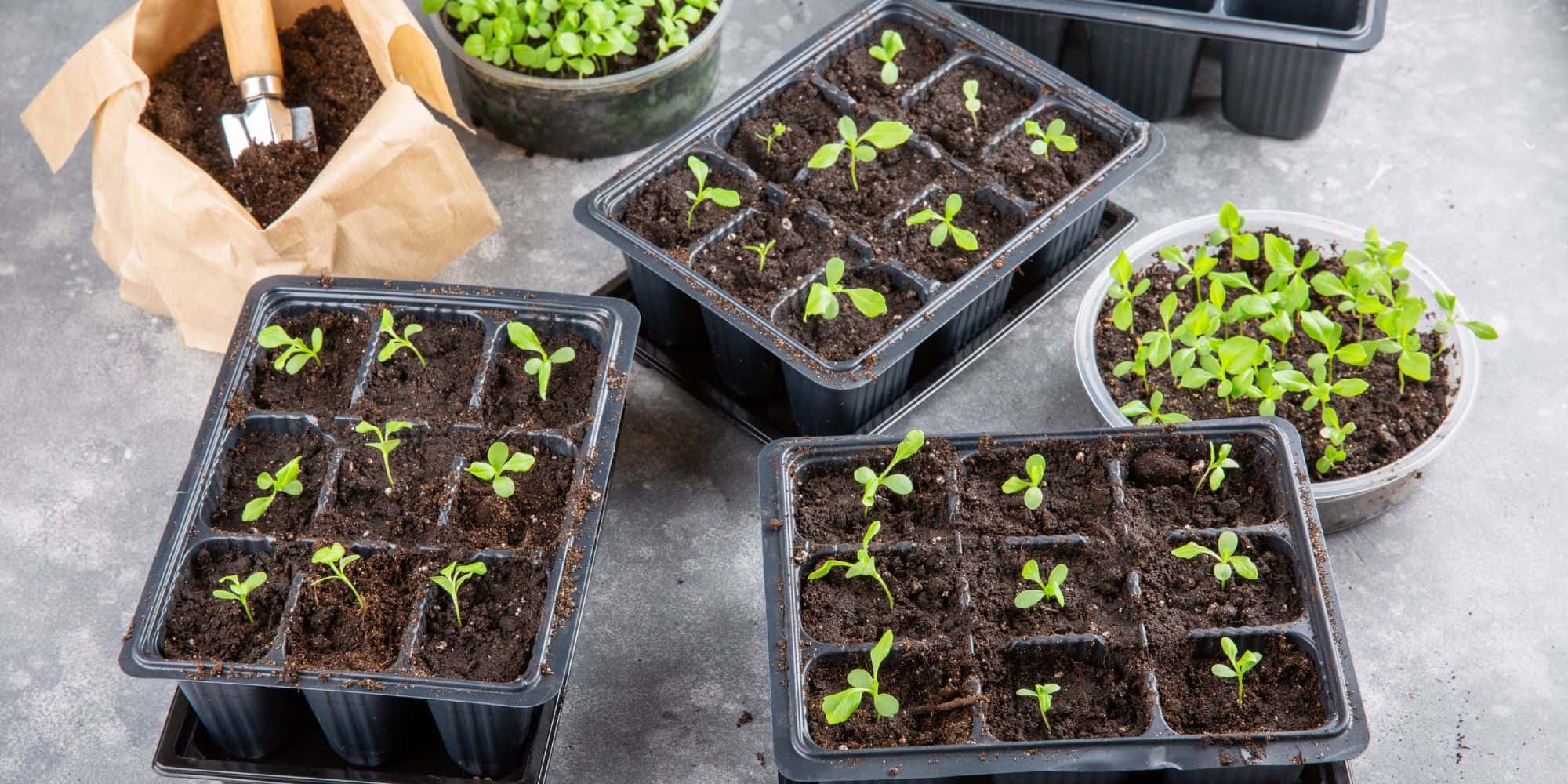 All products (excluding dropship hardware)