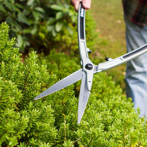 Darlac Lightweight Shears Darlac Shears Darlac Garden Shears D.T