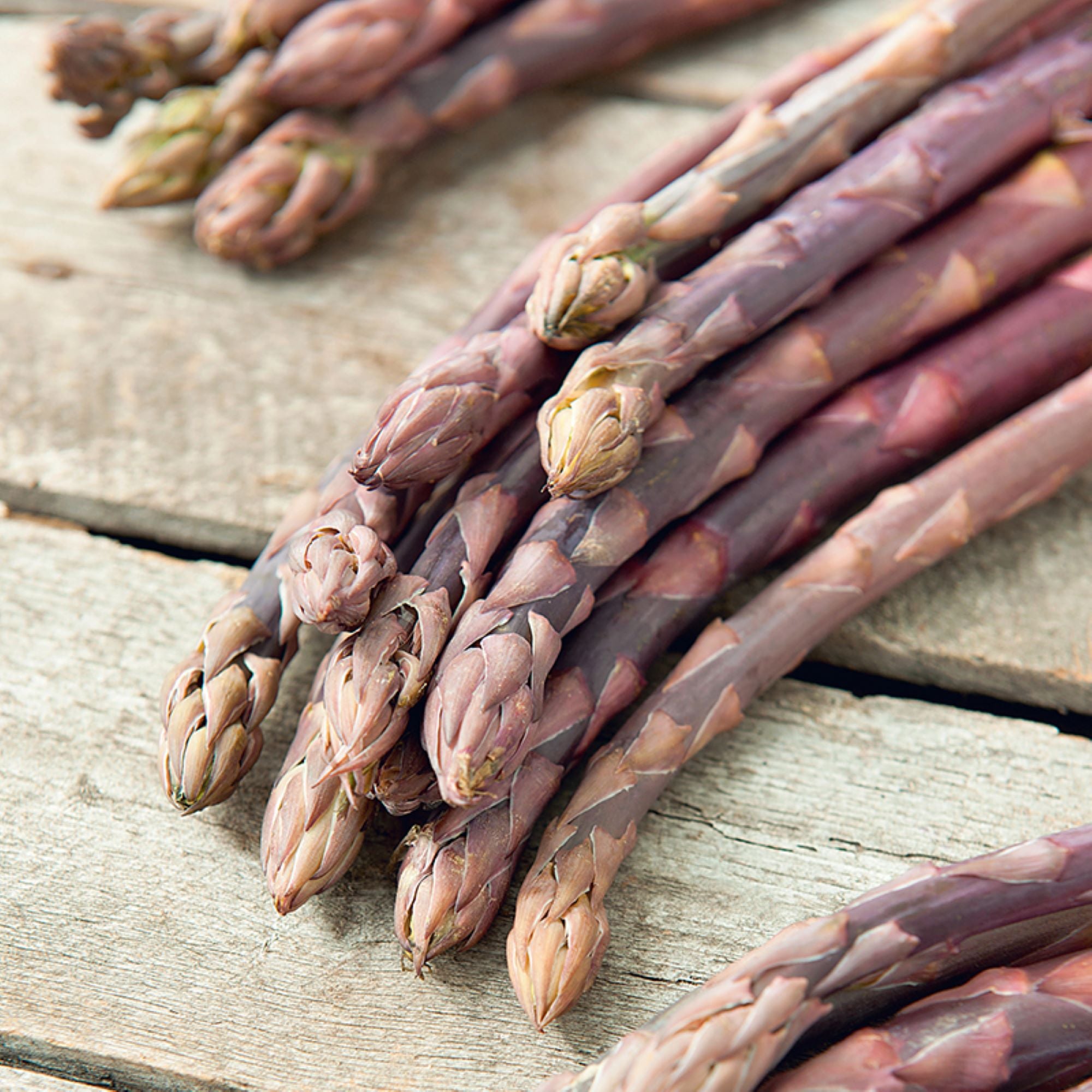 Asparagus Crowns