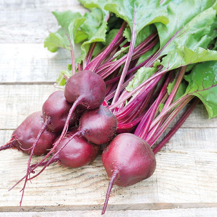 Beetroot Seeds