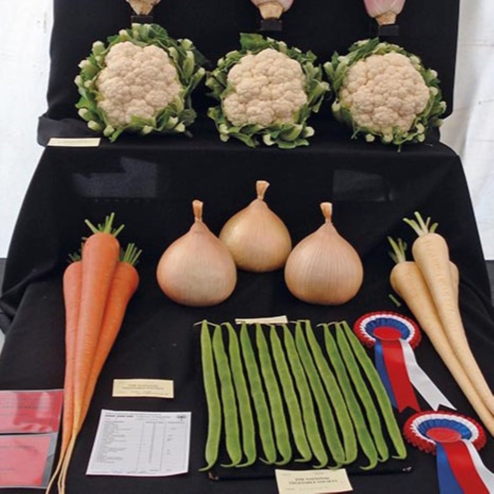 Exhibition Vegetable Seeds