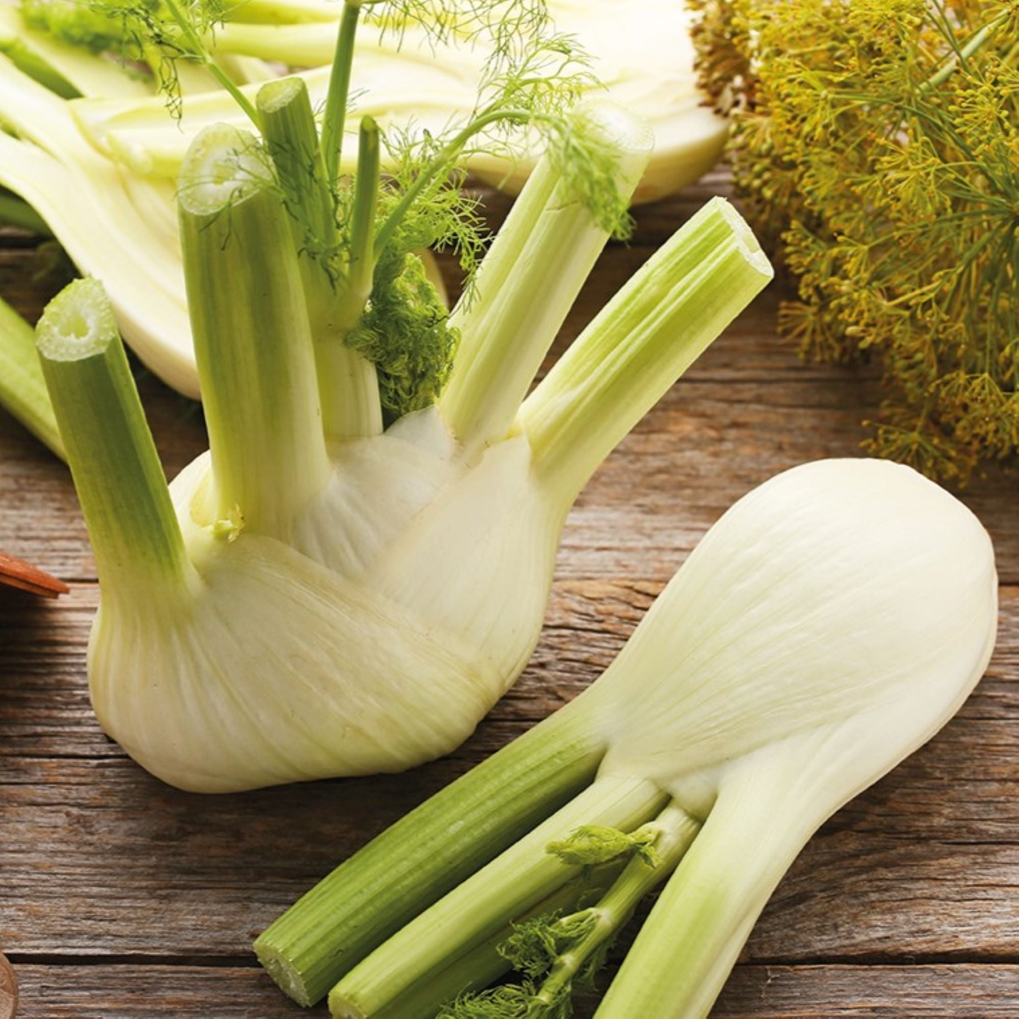 Fennel Seeds