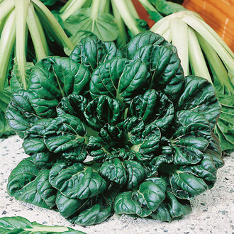 Oriental Greens