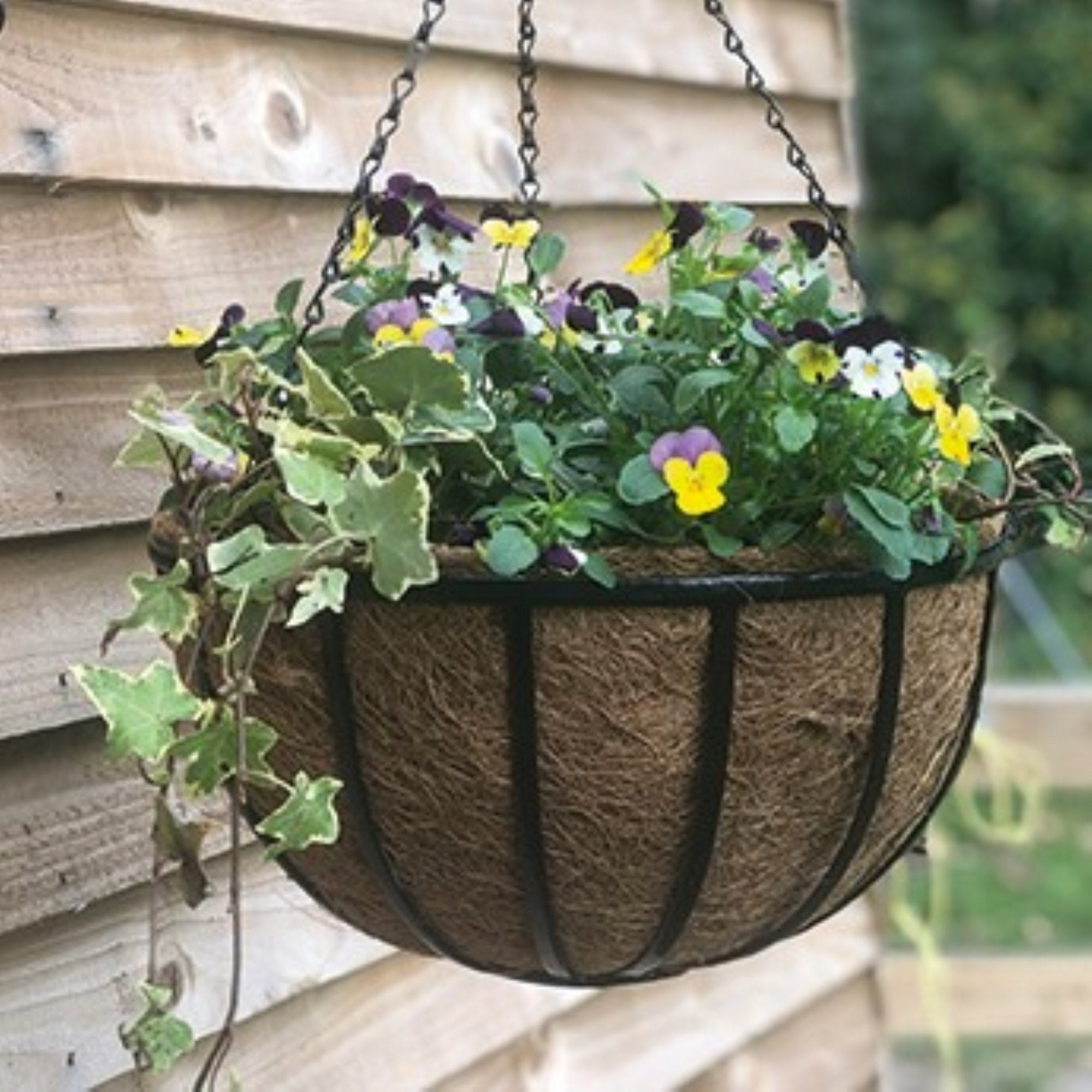 Planters & baskets