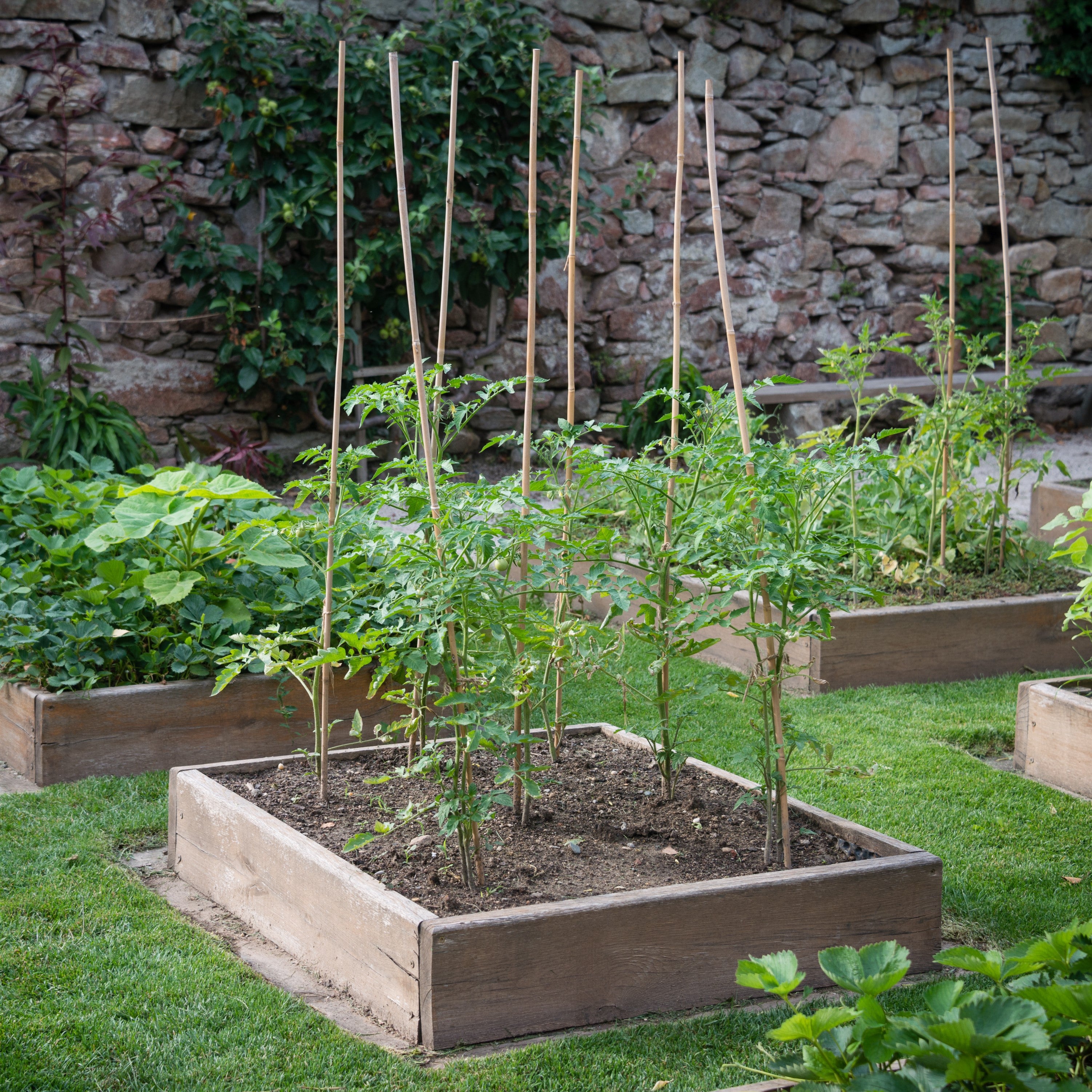 Raised beds