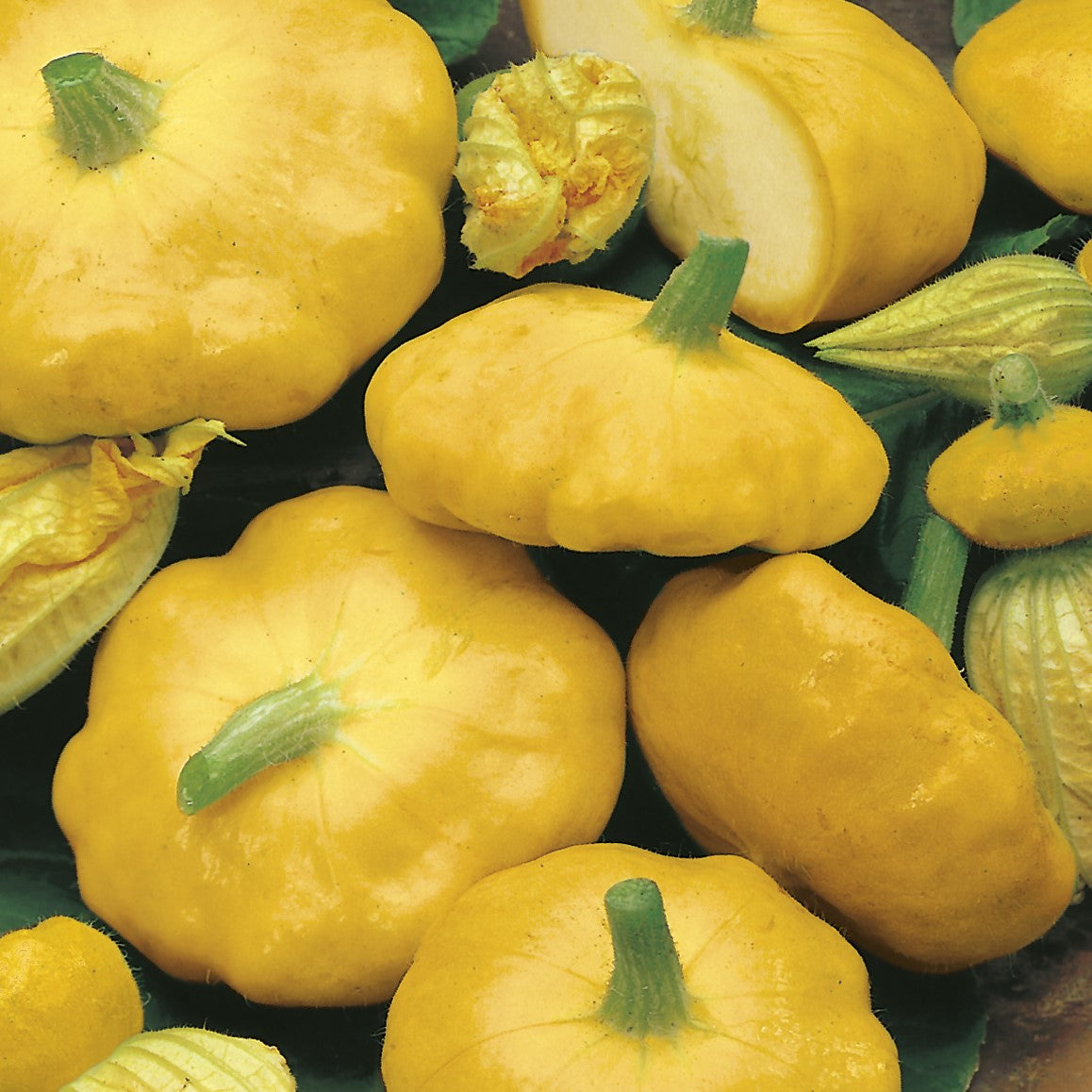 Summer Vegetable Crops