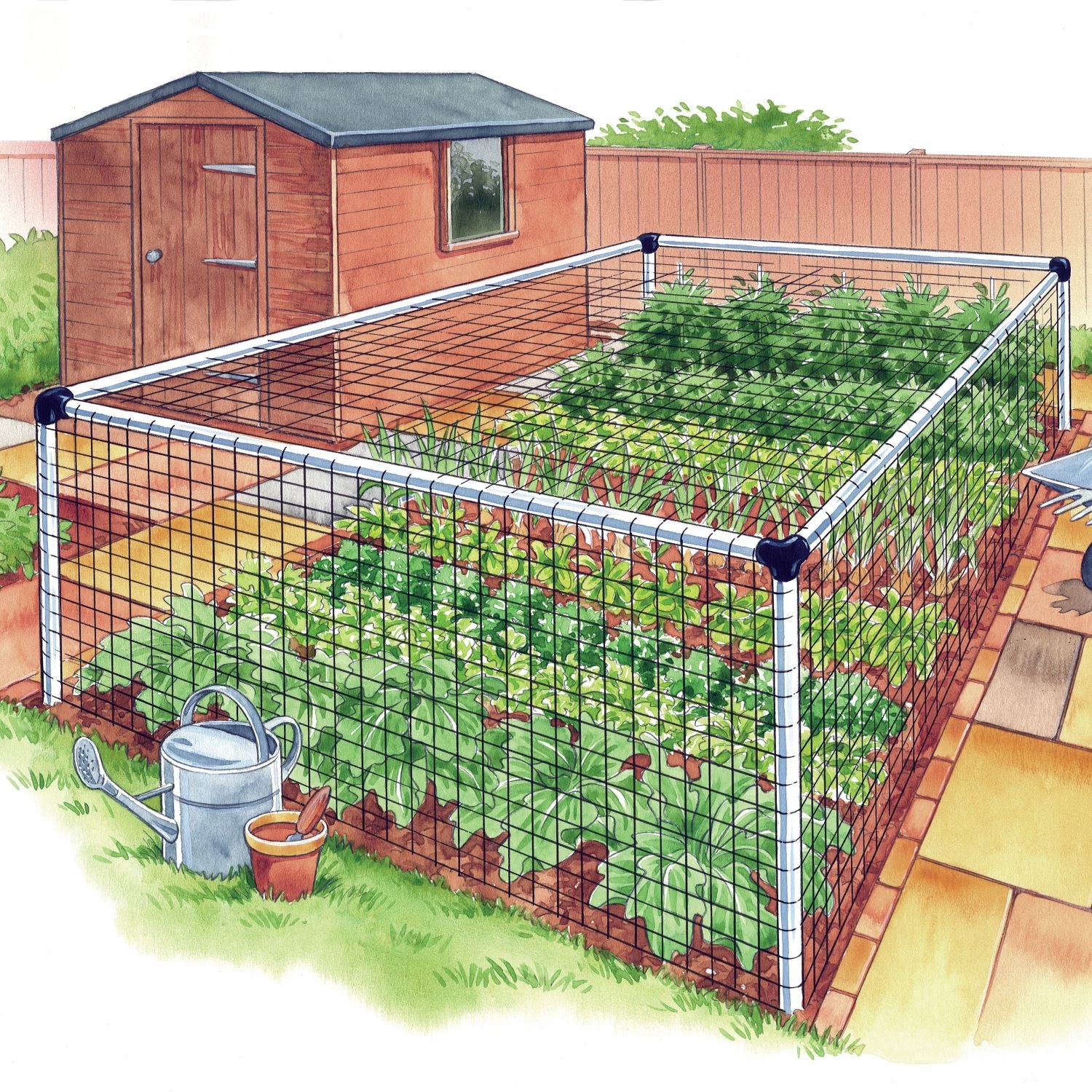 Vegetable Cages
