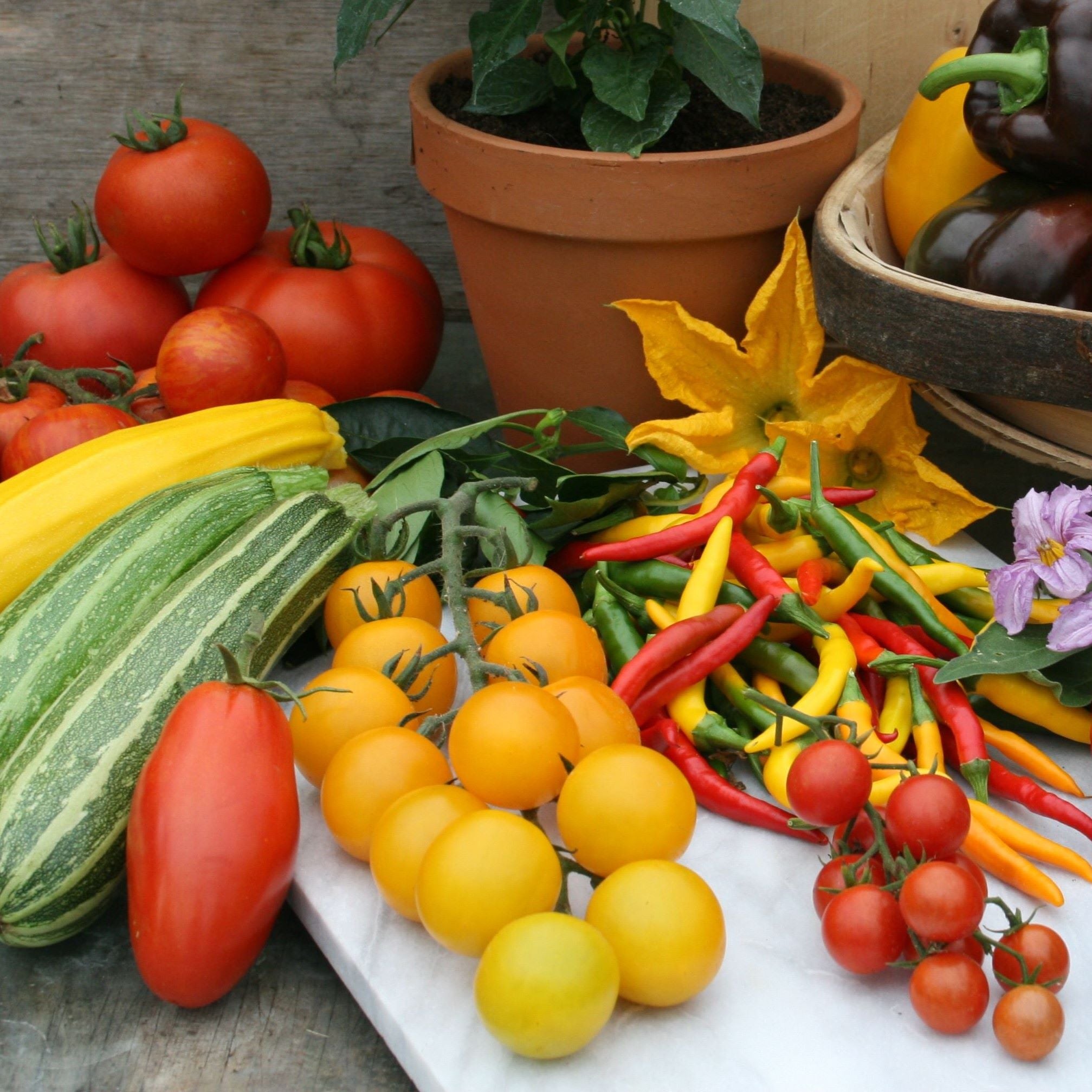 Vegetable Seeds