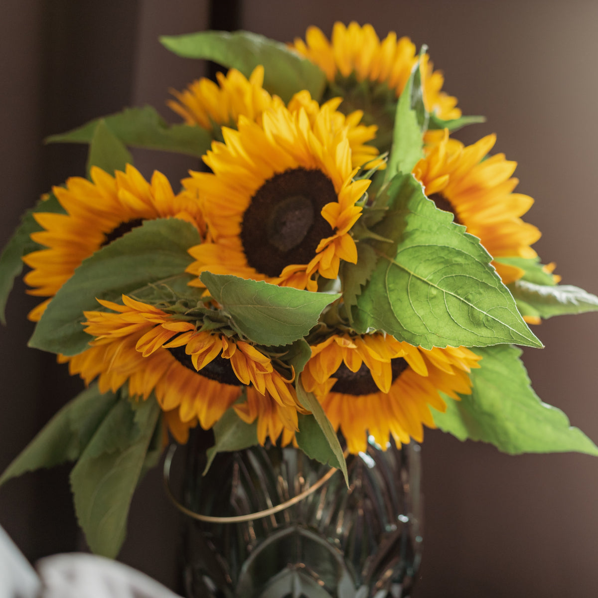 Cut Flower Garden