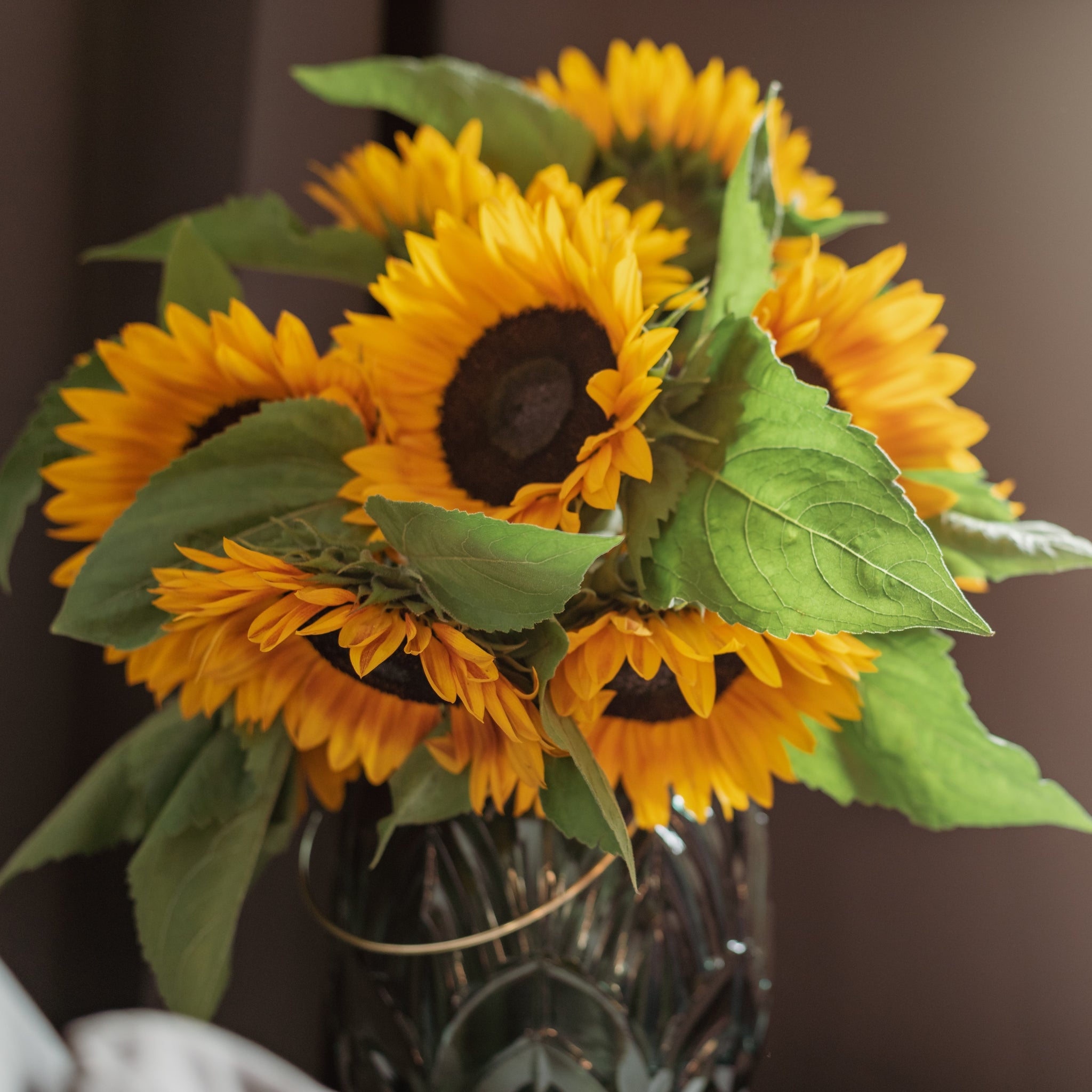 Cut Flower Garden Cut Flower Seeds & Plants D.T. Brown Seeds