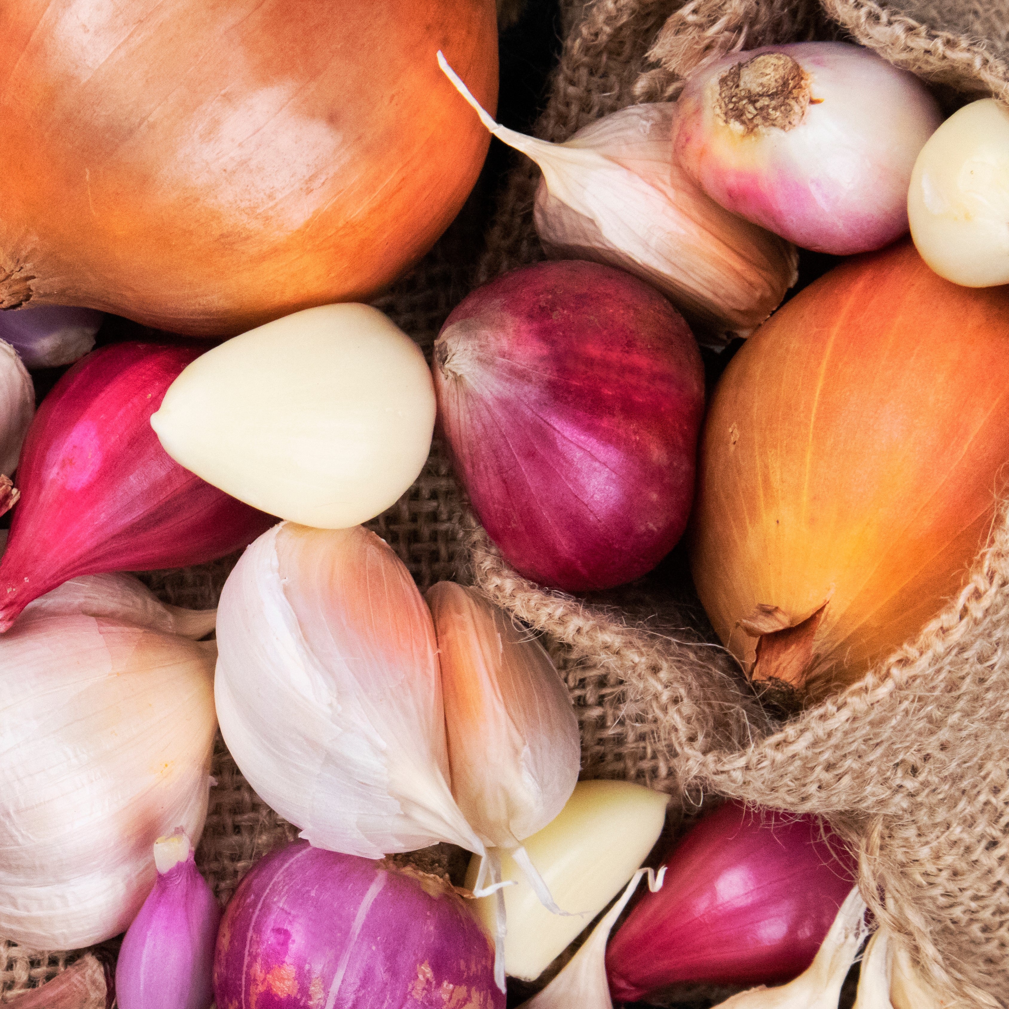 Onions, Shallots and Garlic