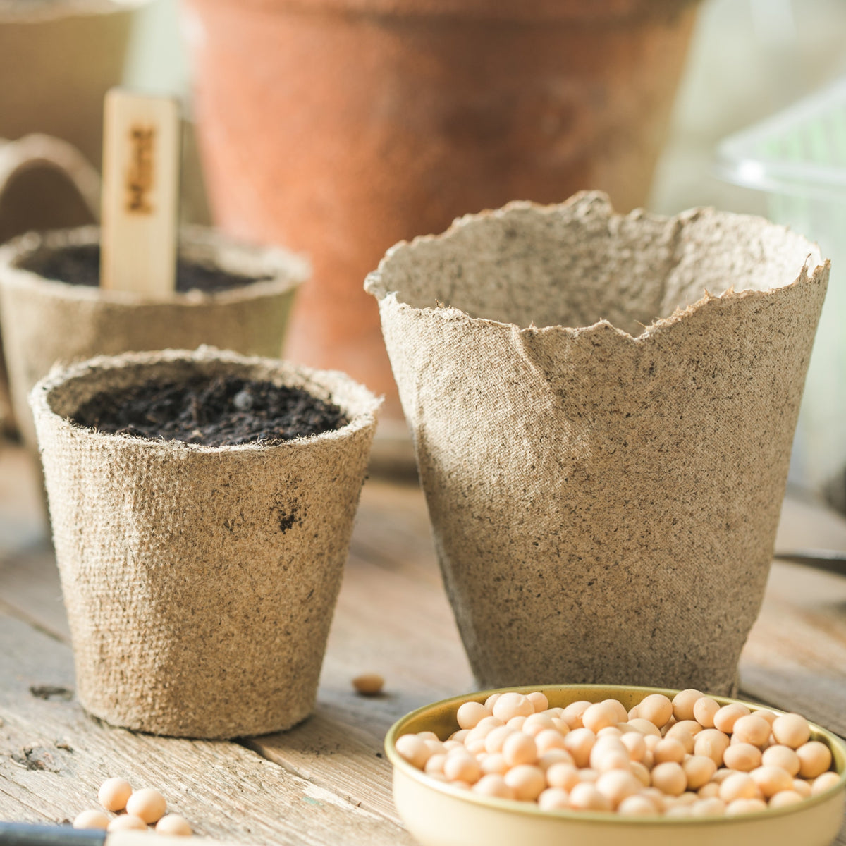 Pots & trays