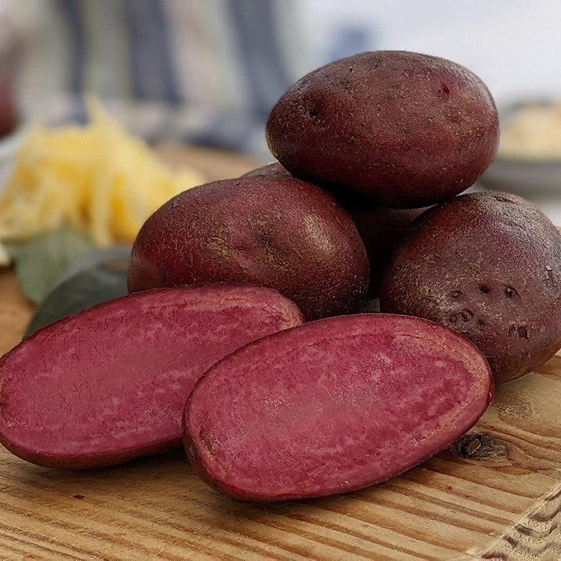Unusual Seed Potatoes