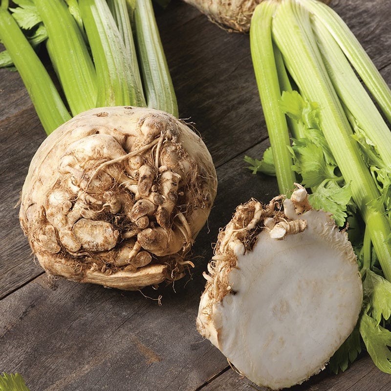Root Vegetable Plants