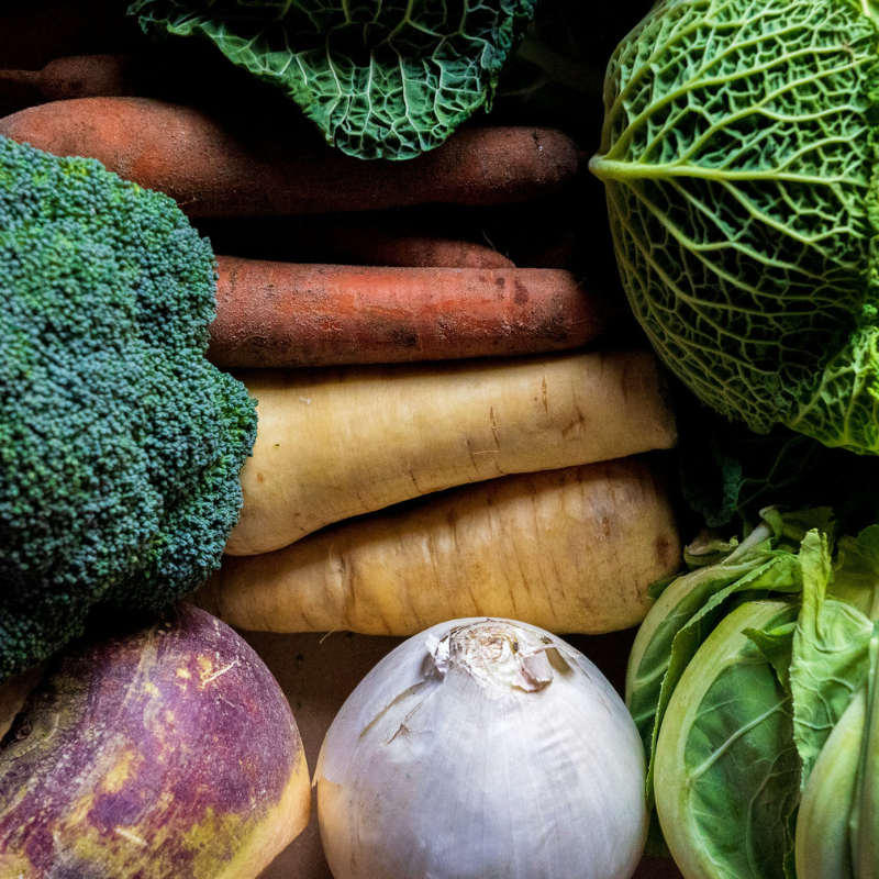 Vegetables to Plant in January