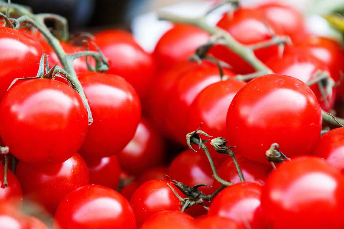 Cherry Tomato Seeds
