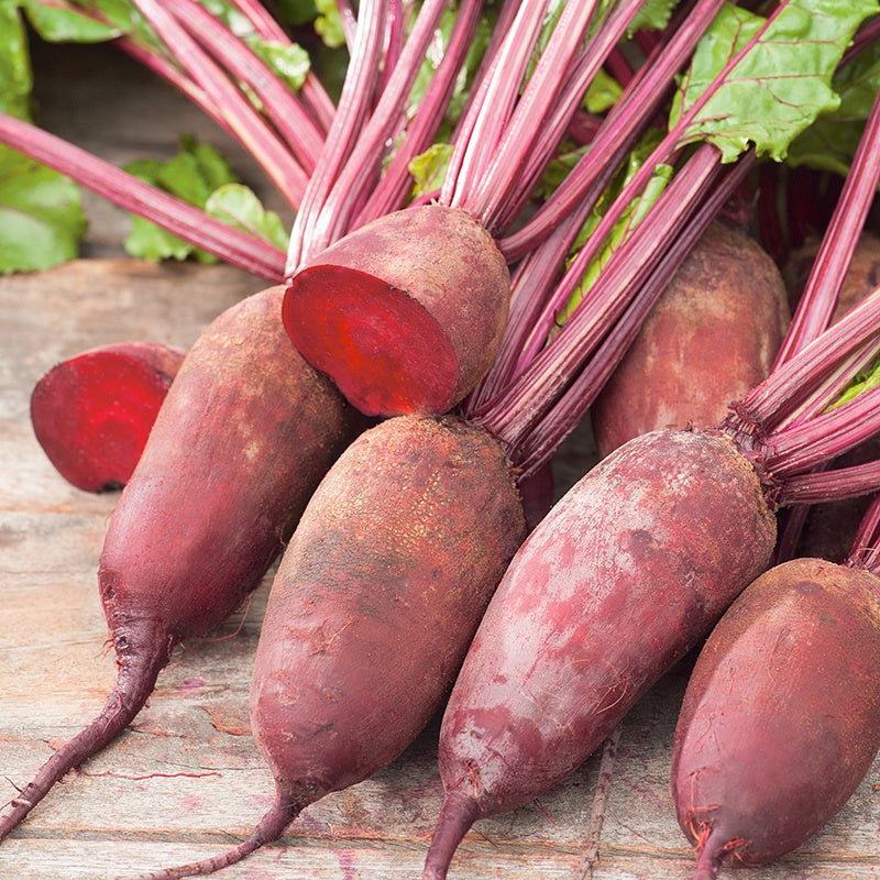 Beetroot Cylindra Seeds