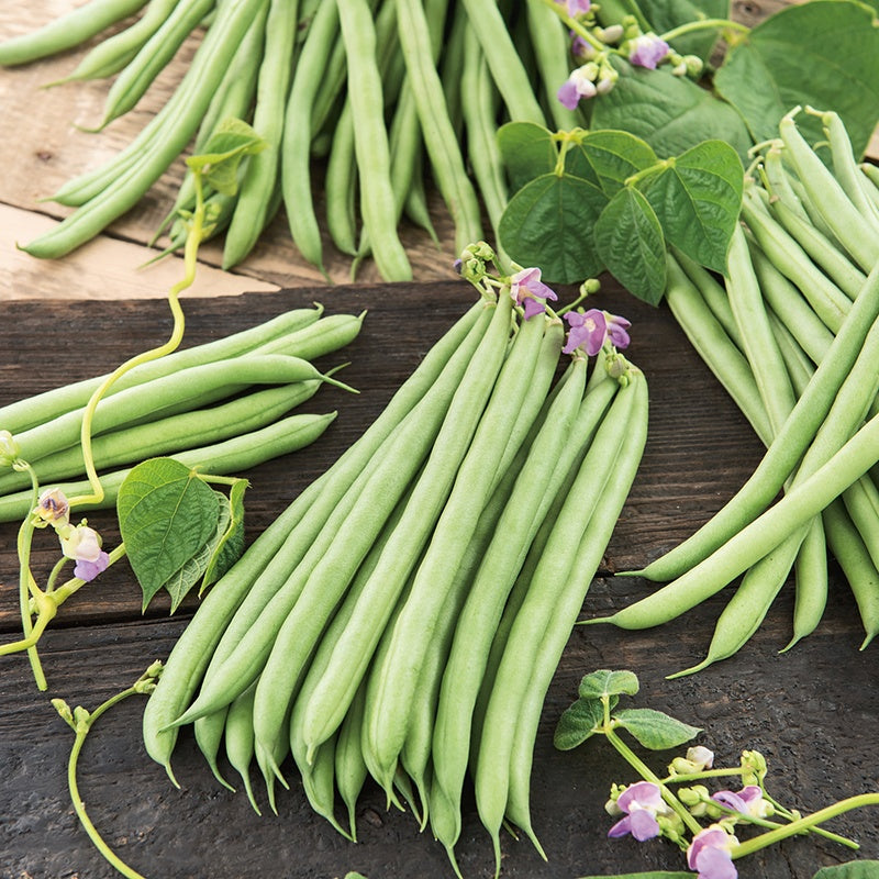 Green beans with leaves on a wooden surface