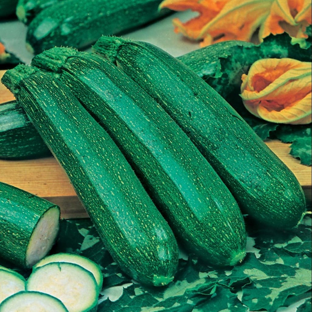 dt-brown VEGETABLE SEEDS Courgette All Green Bush Seeds