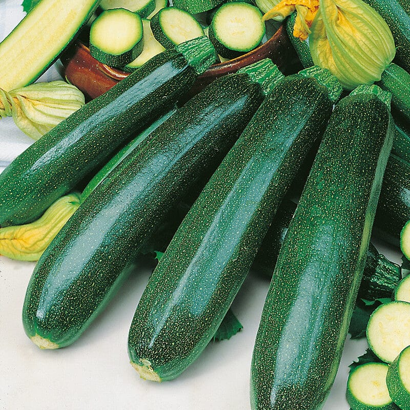 dt-brown VEGETABLE SEEDS Courgette Zucchini Seeds