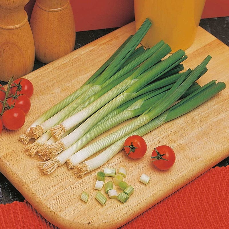 dt-brown VEGETABLE SEEDS Onion (Spring) Ishikura AGM Seeds