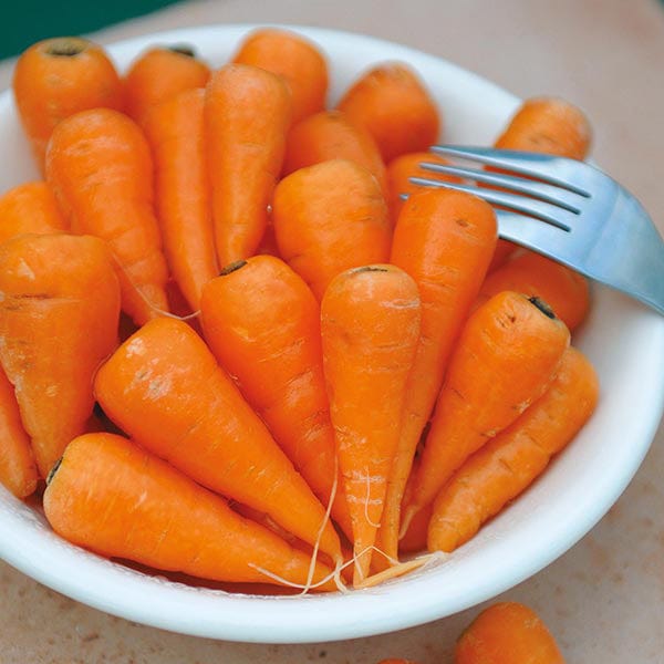 dt-brown VEGETABLE SEEDS Carrot (Baby Chantenay) Cascade F1 Seeds