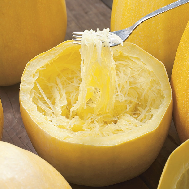 Spaghetti Squash Seeds