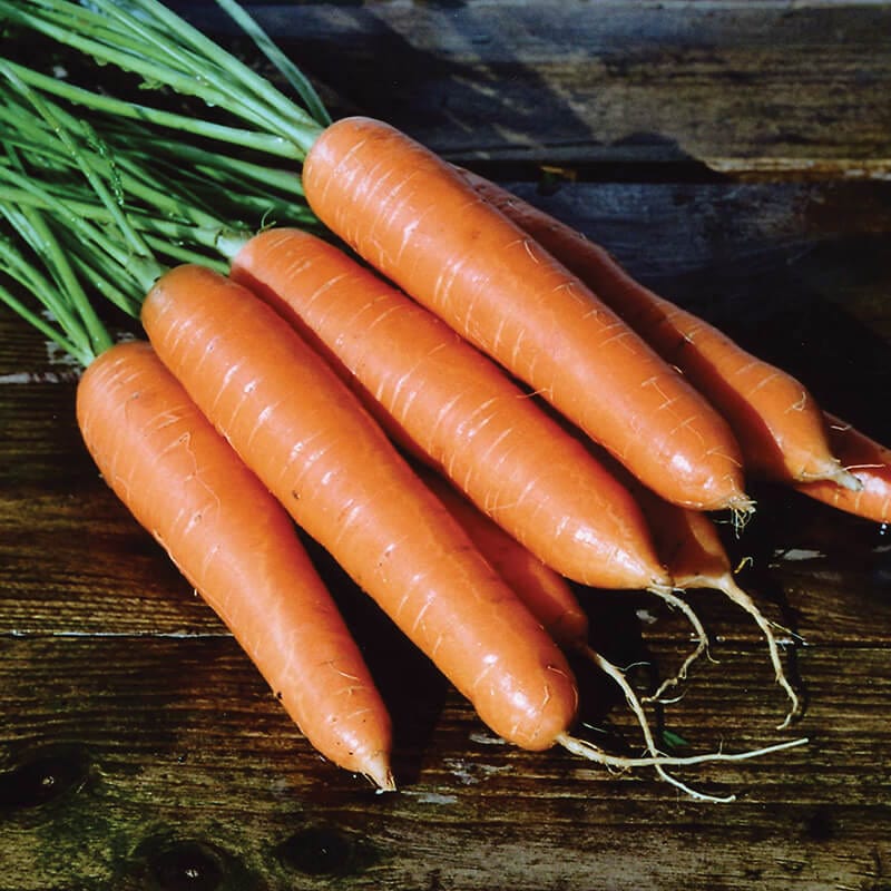 dt-brown VEGETABLE SEEDS Carrot Eskimo F1 AGM Seeds