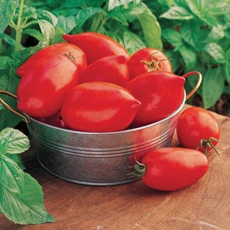 dt-brown VEGETABLE SEEDS Tomato  Big Mama F1 Seeds