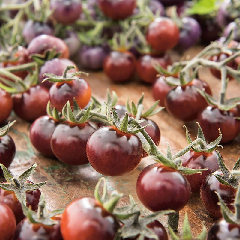 Tomato Indigo Blue Berries Seeds