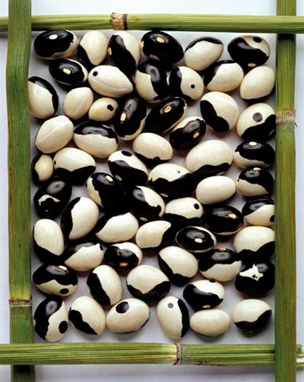 dt-brown VEGETABLE SEEDS Dwarf French Bean Yin Yang Veg Seeds