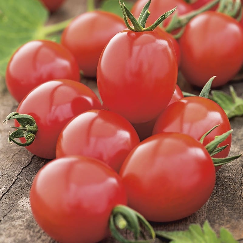 dt-brown VEGETABLE SEEDS Tomato Apero Seeds