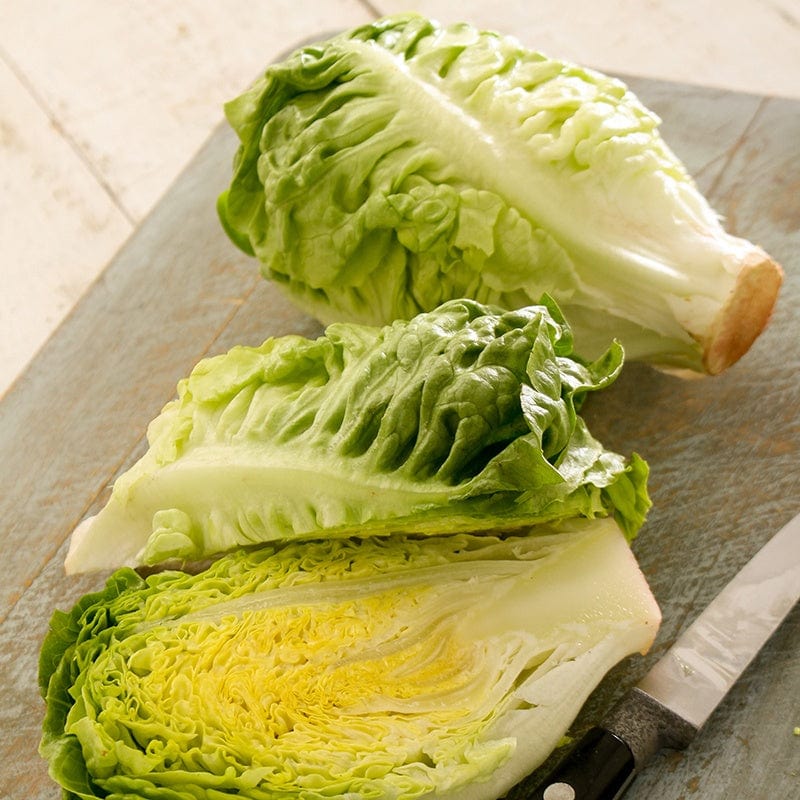 dt-brown VEGETABLE SEEDS LETTUCE Little Gem (Pasatiempo) Seeds