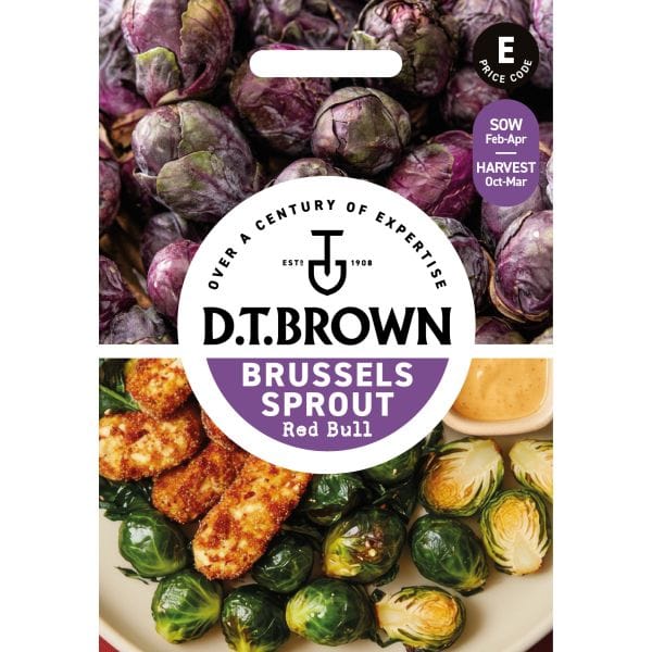 DT Brown VEGETABLE SEEDS Brussels Sprout Red Bull Seeds