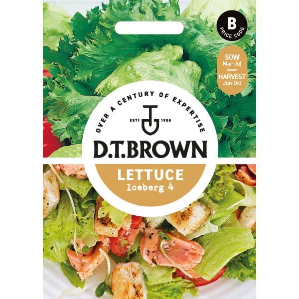 DT Brown VEGETABLE SEEDS Lettuce Iceberg 4 Seeds