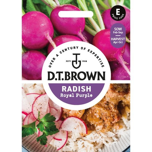 DT Brown VEGETABLE SEEDS Radish Royal Purple Seeds