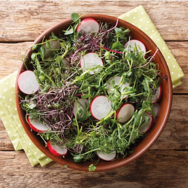 dt-brown VEGETABLE SEEDS Microgreens Radish Leaf Seeds