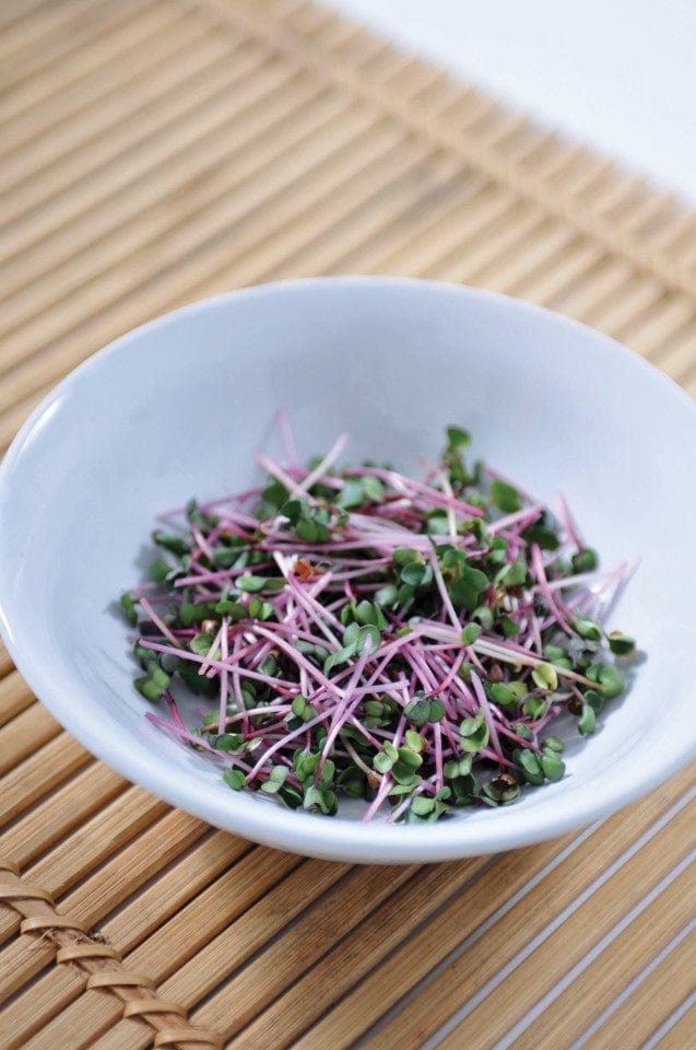 dt-brown VEGETABLE SEEDS Microgreens Radish Leaf Seeds